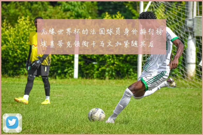 无缘世界杯的法国球员身价排行榜埃基蒂克领衔卡马文加紧随其后